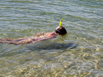 Snorkelling on Bocas del Toro